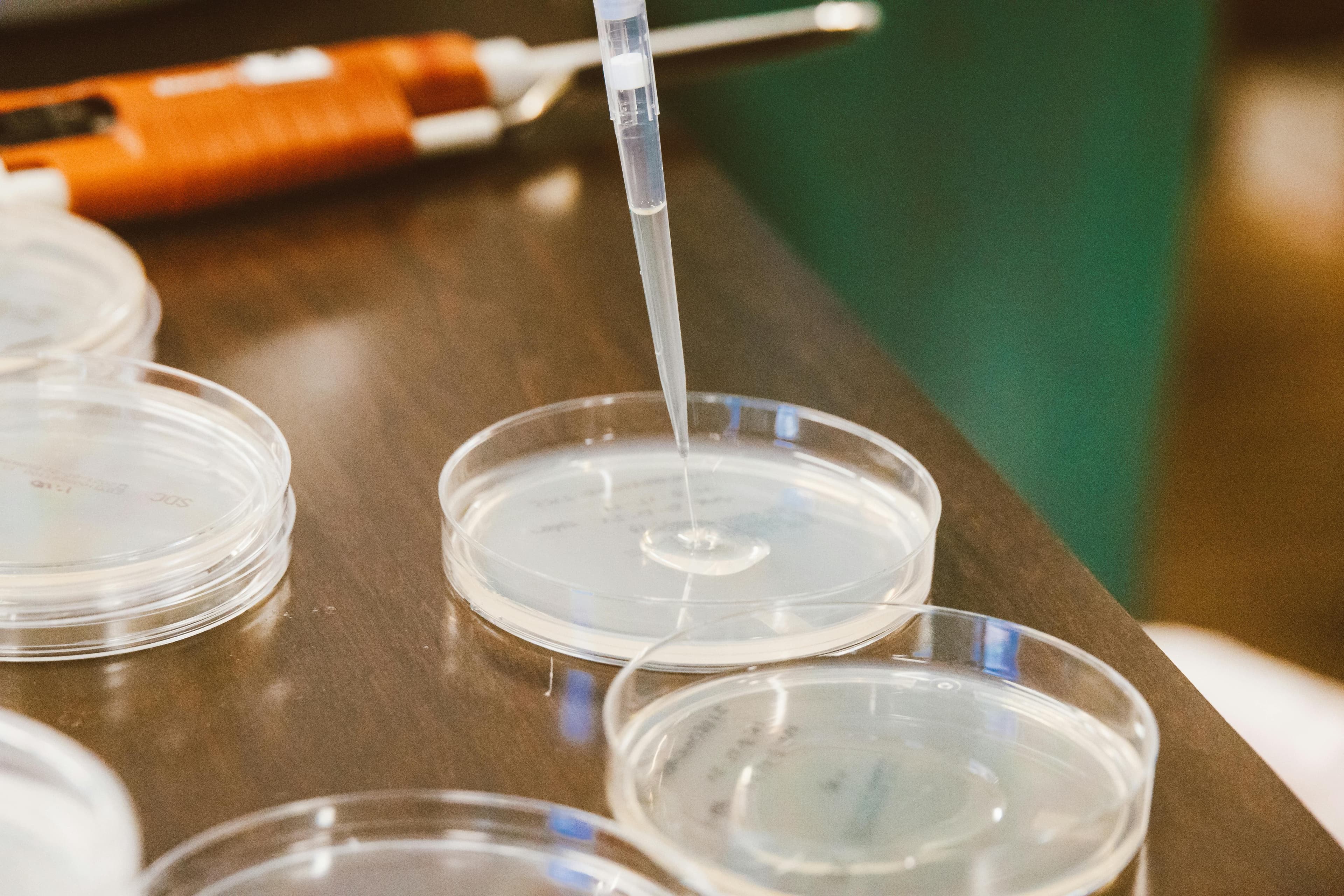 科学的視点と独立した評価方針